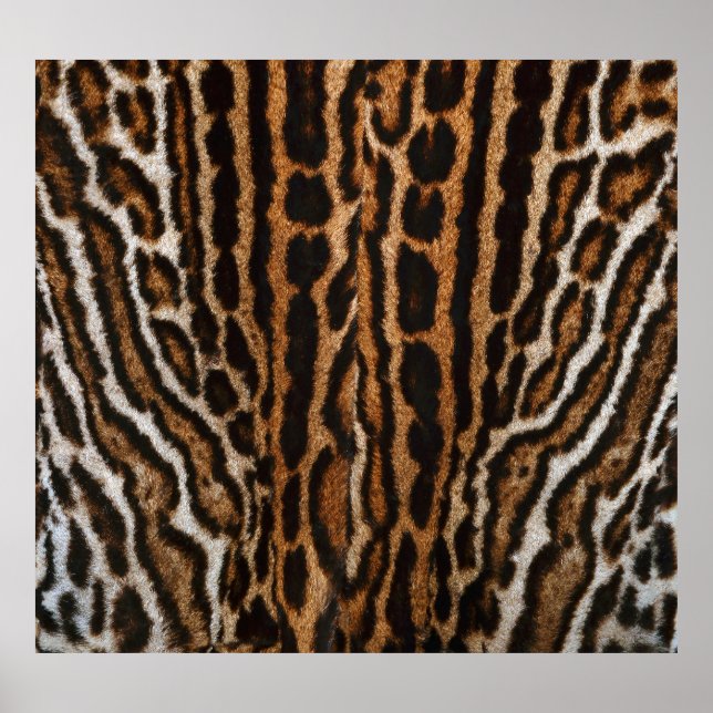 Póster Textura vintage de fondo de leopardo (Frente)