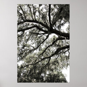 Póster Texturas de color negro 1