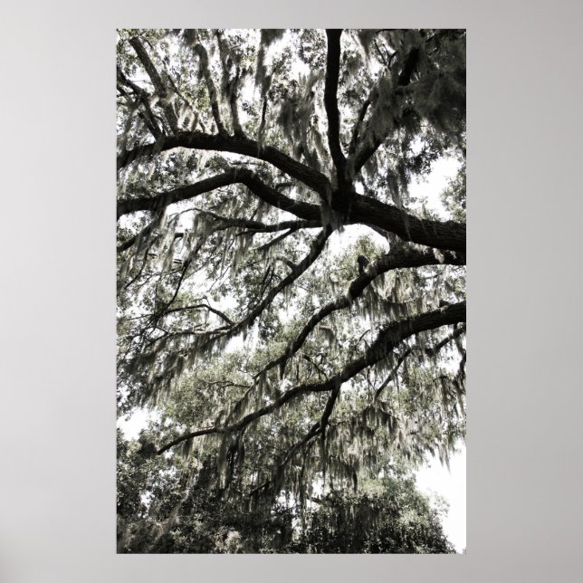 Póster Texturas de color negro 1 (Frente)