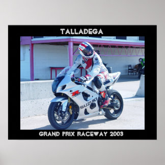 PÓSTER TGPR 2003