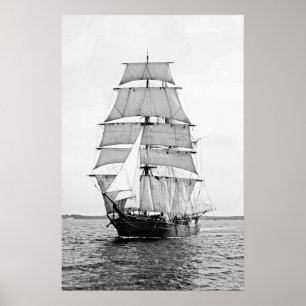 Póster The Bark Robert Ewing