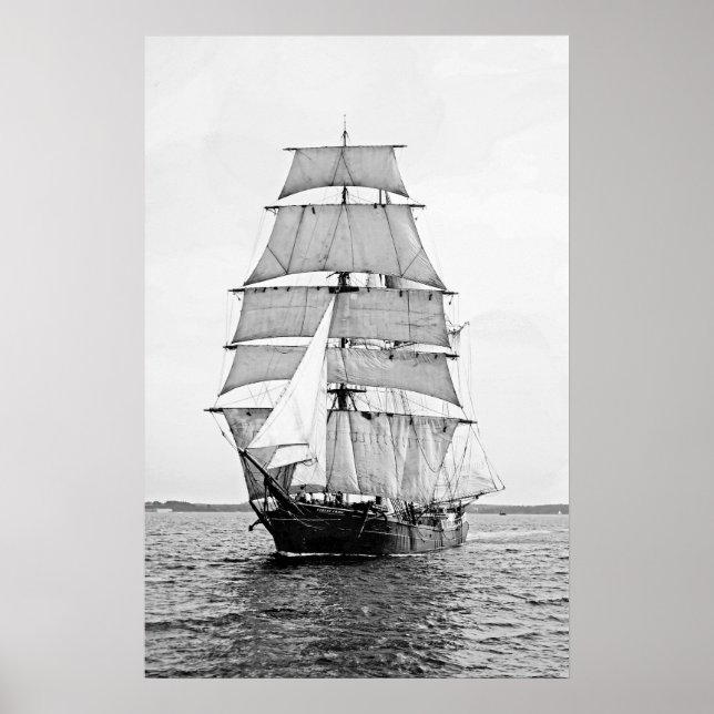 Póster The Bark Robert Ewing (Frente)