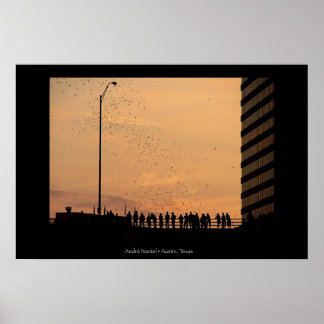 Póster The bats of Austin