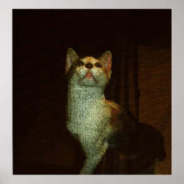 Póster The Beatiful Sweetie