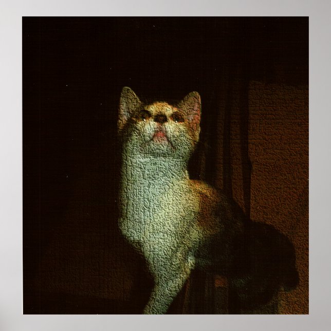 Póster The Beatiful Sweetie (Frente)