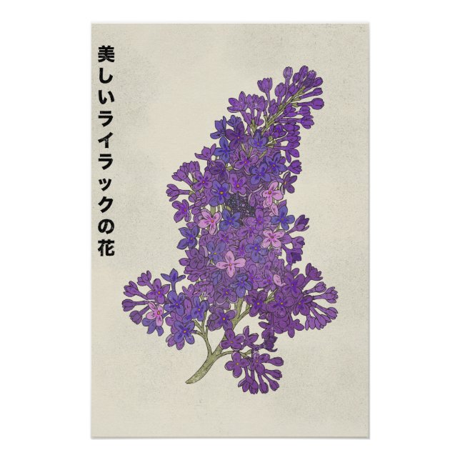 Póster The Beautiful Lilac Flower (Anverso)