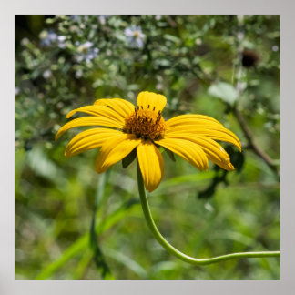 Póster The Bend Floral