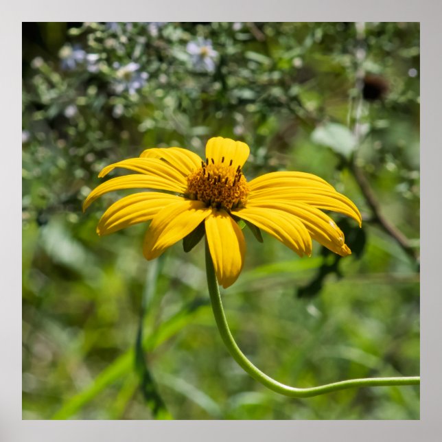 Póster The Bend Floral (Frente)