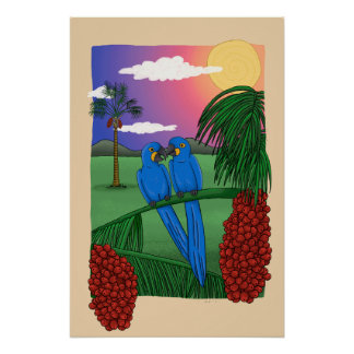 Póster The Blue Macaw and the acuri coconut