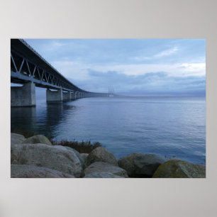 Póster The bridge