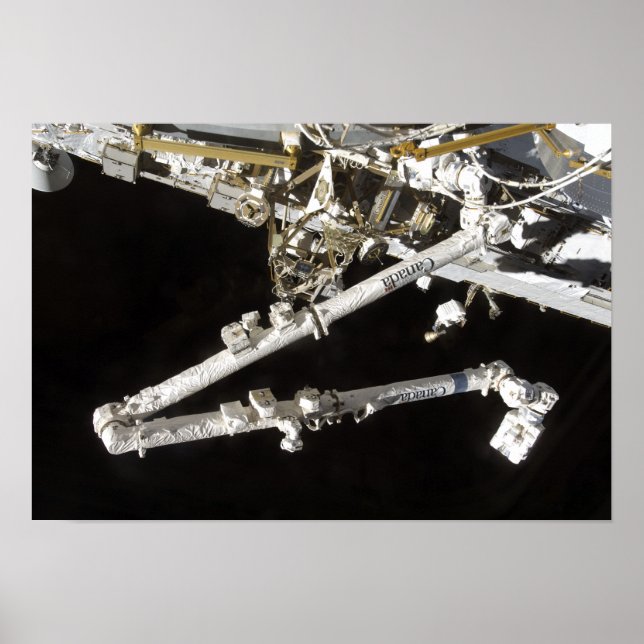 Póster The Canadian-built space station (Frente)