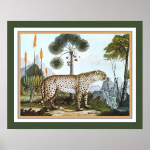 Póster "The Cheetah" 1886 por Aloys Zotl