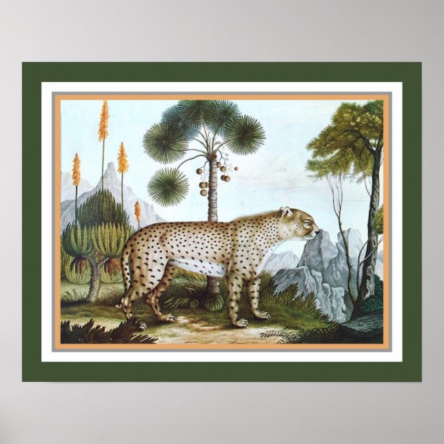 Póster "The Cheetah" 1886 por Aloys Zotl (Frente)