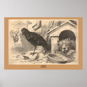 Póster The Common Raven
