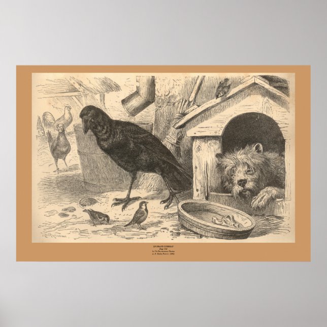 Póster The Common Raven (Frente)