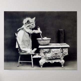 Póster The Cook Cat Funny Harry Whittier Frees 1914