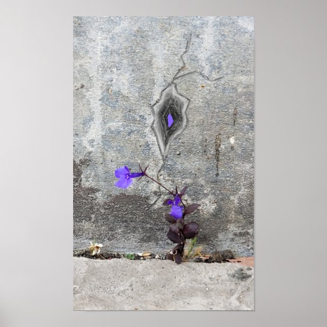 Póster The crack in the wall (Frente)