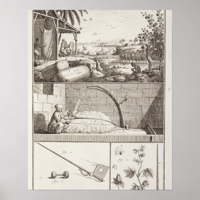 Póster The cultivation of cotton, from the 'Encyclopedia' (Frente)
