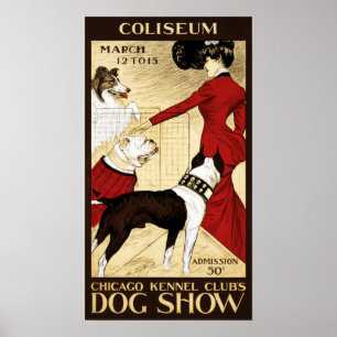 Póster The Dog Show