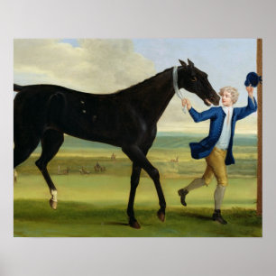 Póster The Duke of Rutland's 'Bonny Black', c.1720 (oil o