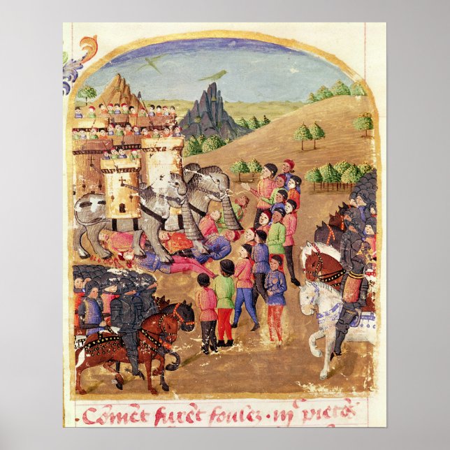 Póster The Elephants of War (Frente)