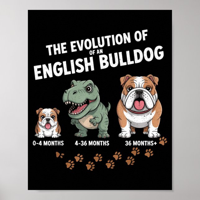 Póster The Evolution Of An English Bulldog Funny  (Frente)