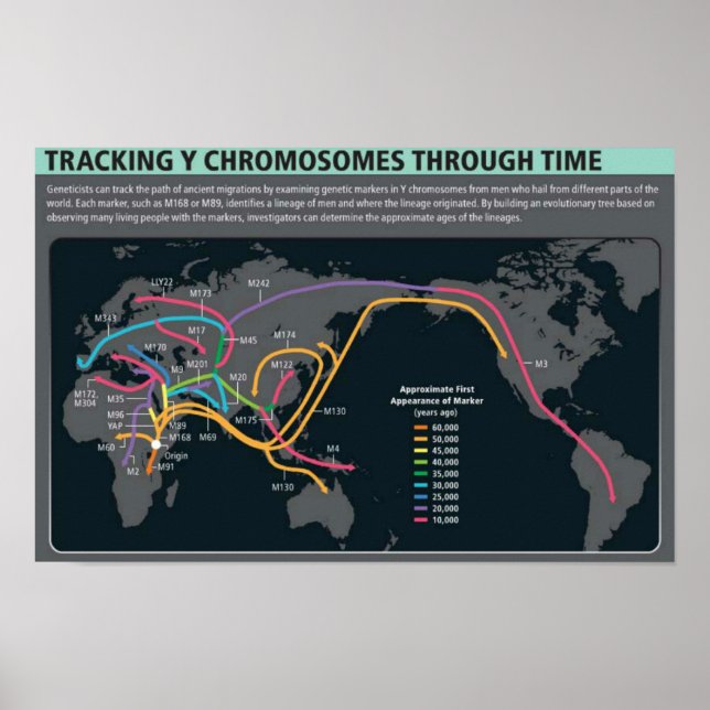 Póster The first migration Poster (Frente)