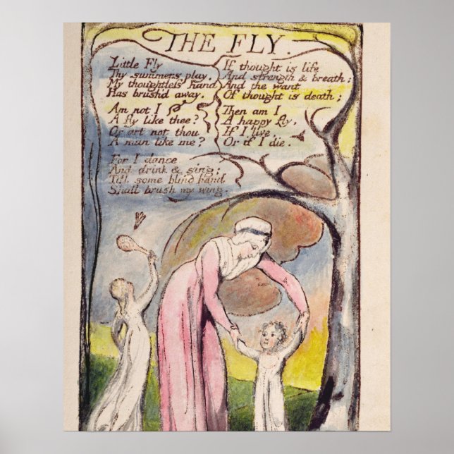 Póster 'The Fly', plato 37 de 'Canciones de inocencia y (Frente)