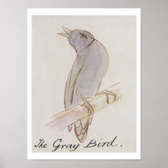 Póster The Gray Bird, from 'Sixteen Drawings of Comic Bir (Frente)