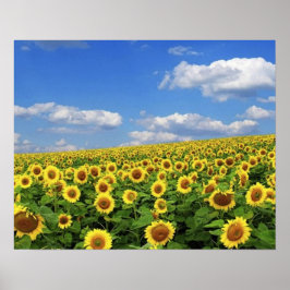 Póster The_Greatness_of_Nature_(5)