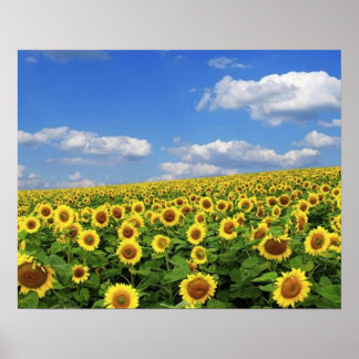 Póster The_Greatness_of_Nature_(5)