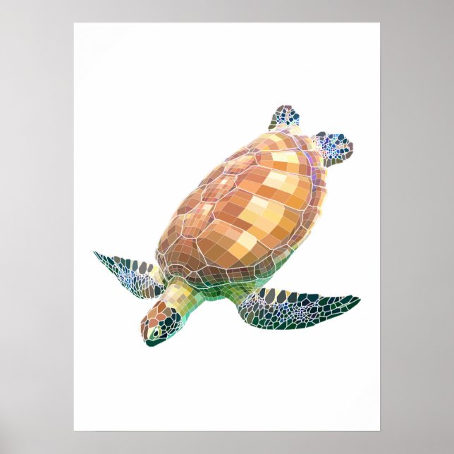 Póster The Green Sea Turtle (Colored) (Frente)