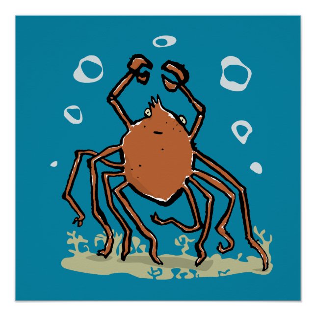 Póster the groovy sea spider (Anverso)