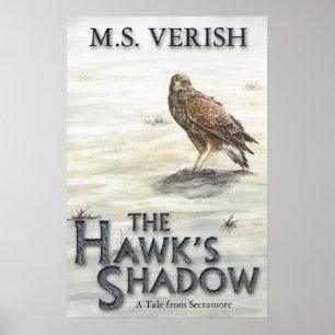 Póster The Hawk's Shadow Poster