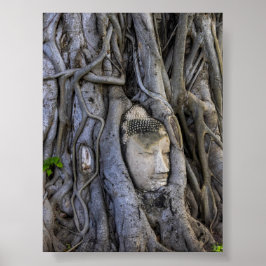 Póster The head in the tree