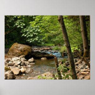 Póster The Hiding Place