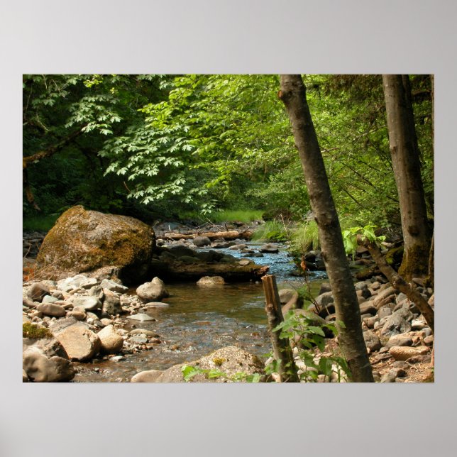 Póster The Hiding Place (Frente)