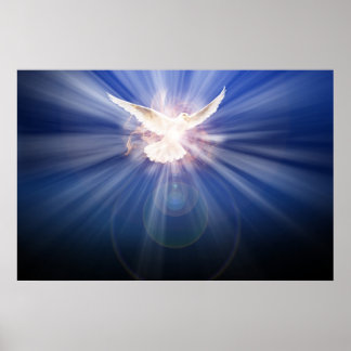 Póster the holy ghost in light