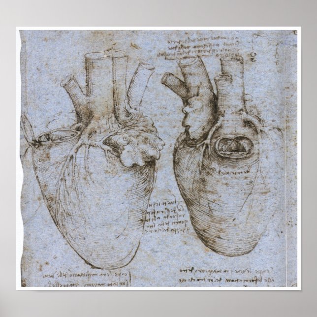 Póster The Human Heart, Leonardo da Vinci (Frente)