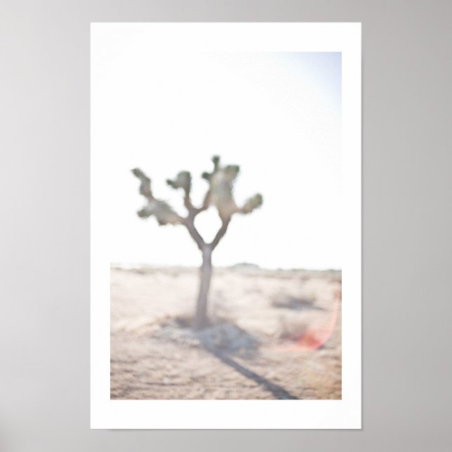 Póster The Joshua Tree (Frente)