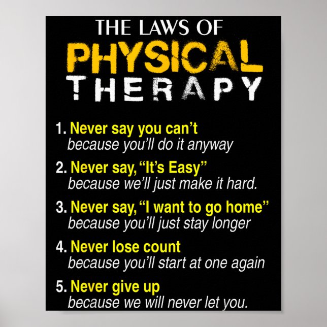 Póster The Laws Of Physical Therapy Motivational Goals Pt (Frente)
