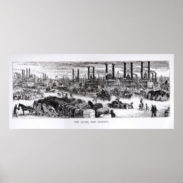 Póster The Levee, New Orleans (Frente)