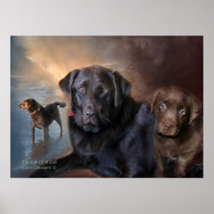 Póster The Life Of A Lab Art Poster/Print