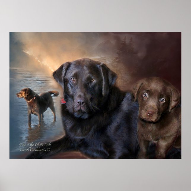 Póster The Life Of A Lab Art Poster/Print (Frente)