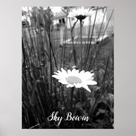Póster the lonely daisy