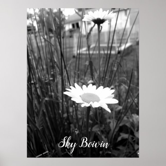 Póster the lonely daisy (Frente)