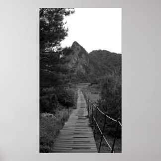 Póster The Long Journey