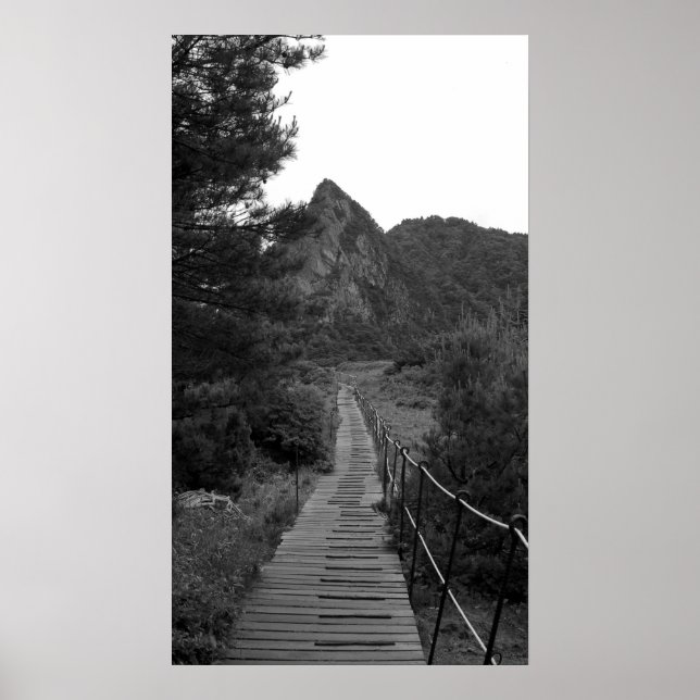 Póster The Long Journey (Frente)