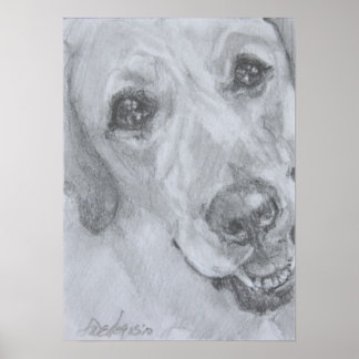 Póster The Look Of Love