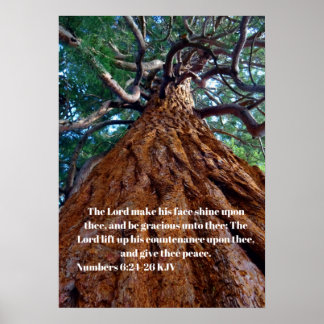 Póster The Lord make his face shine upon, uplifting